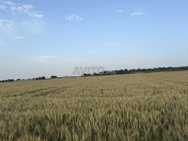 Terreno de 4000 m² en una ubicación extraordinaria