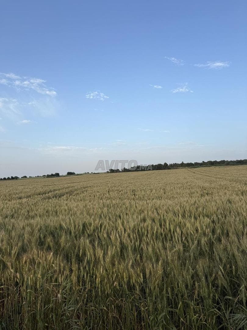 Terreno de 4000 m² en una ubicación extraordinaria