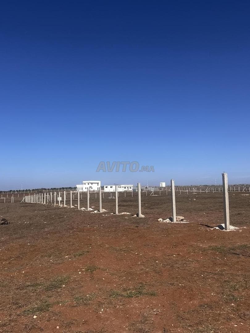 Titled one-hectare plot in Sidi Rahal