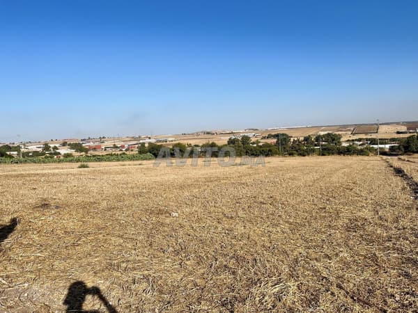 Bouskoura Nouaceur