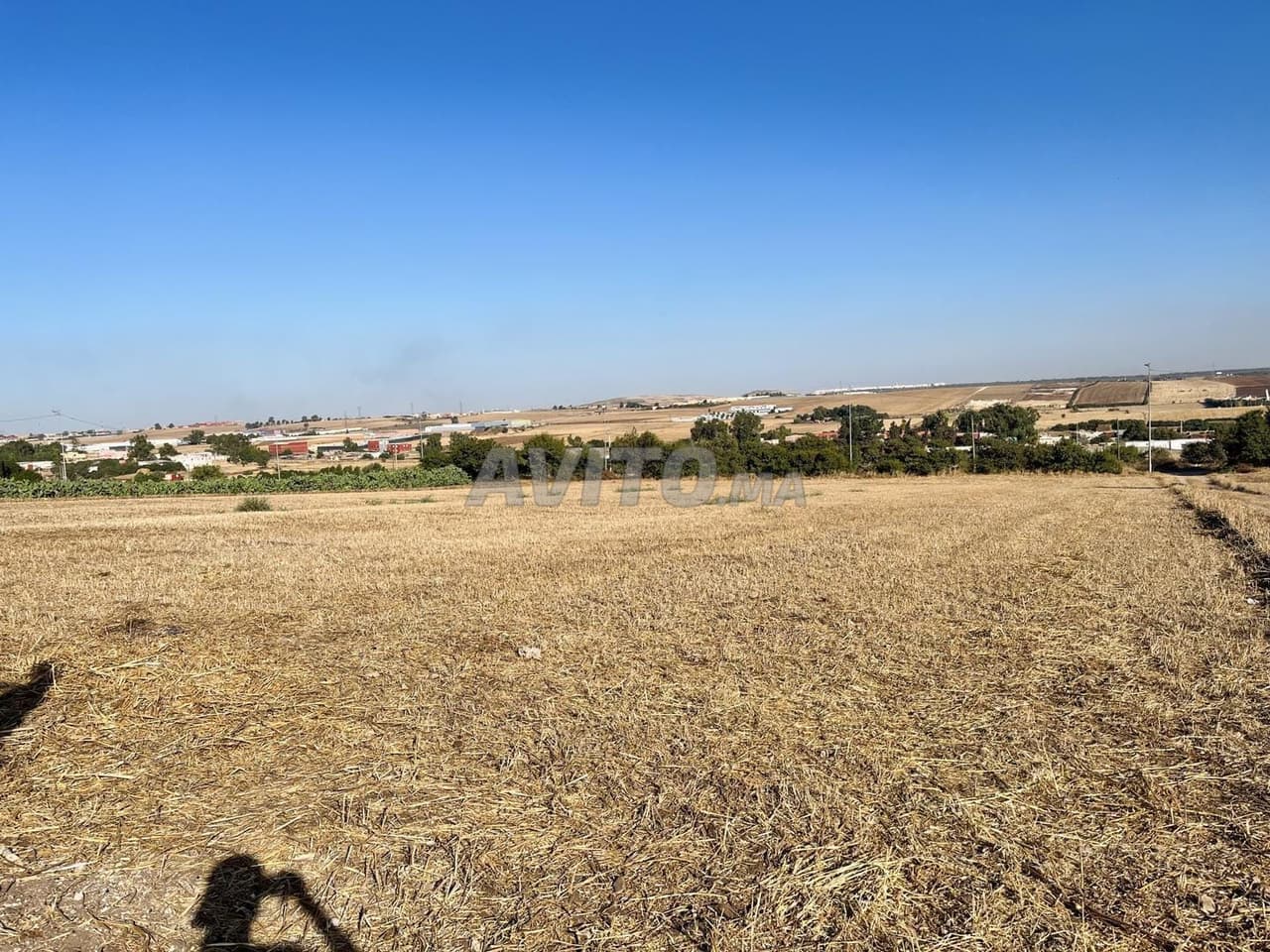 Bouskoura Nouaceur