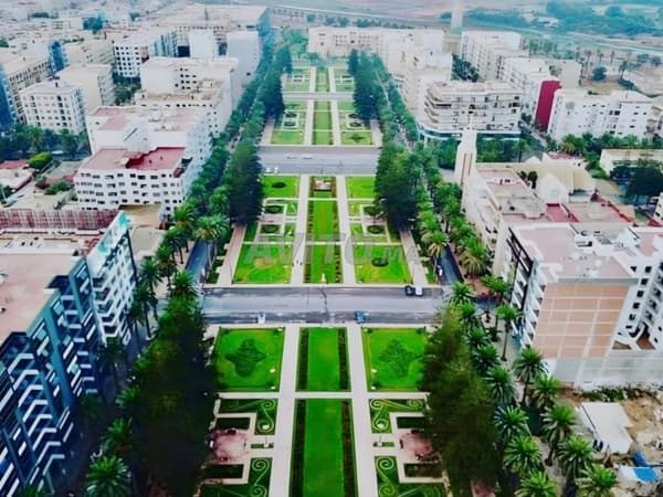 Studio meublé à louer au Cœur Quartier du Parc 🌿