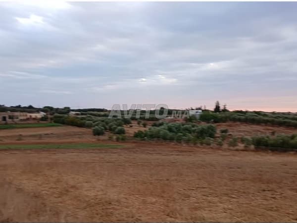 Terrain agricole pour ferme 2000m²