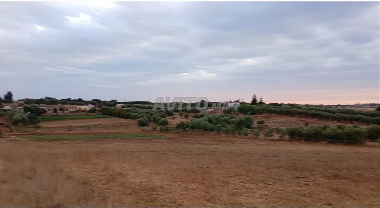 Terrain agricole pour ferme 2000m²