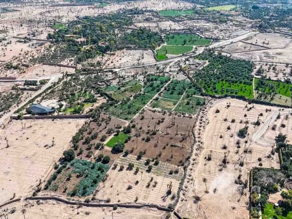Terrain à bâtir à la Palmeraie à vendre Marrakech