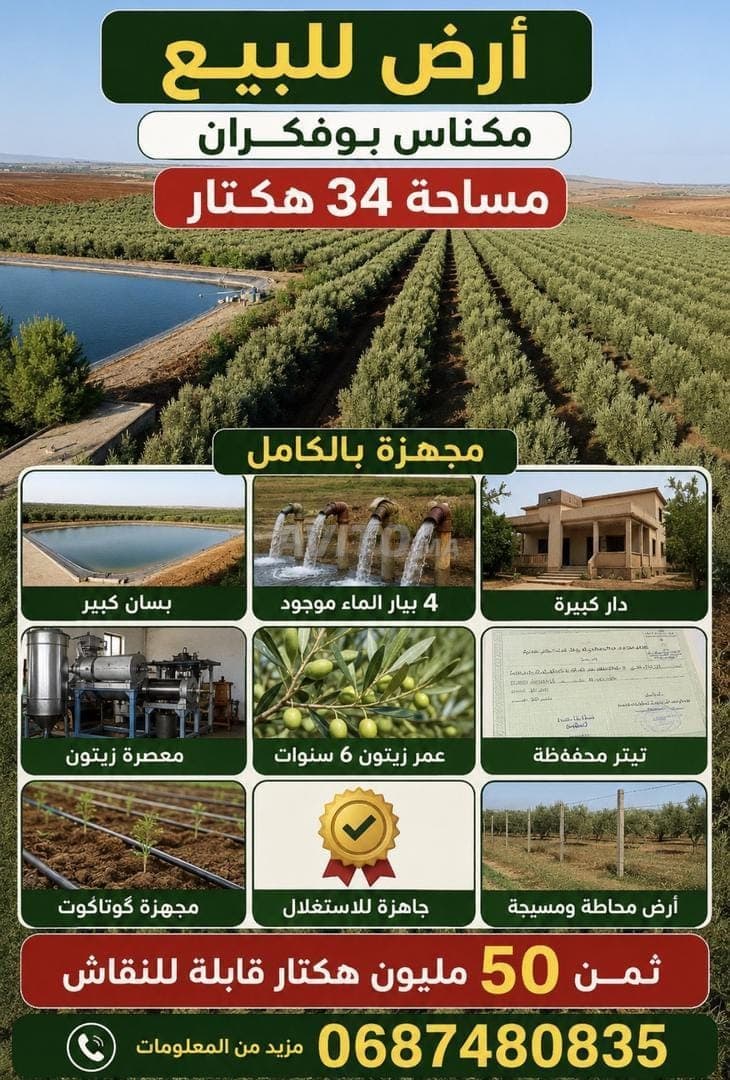 34 hectares équipés d'oliviers à vendre Meknes Boufekrane