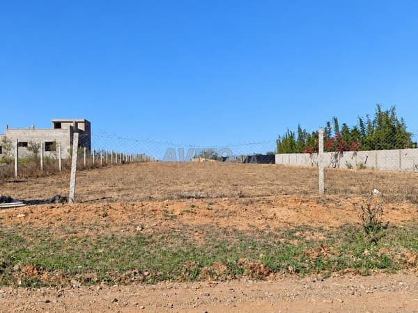 Grundstück mit Brunnen und Eigentumstitel in Aïn El Jawhara