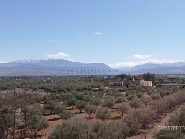 Mit Olivenbäumen bepflanztes Grundstück an der Route de l'Ourika