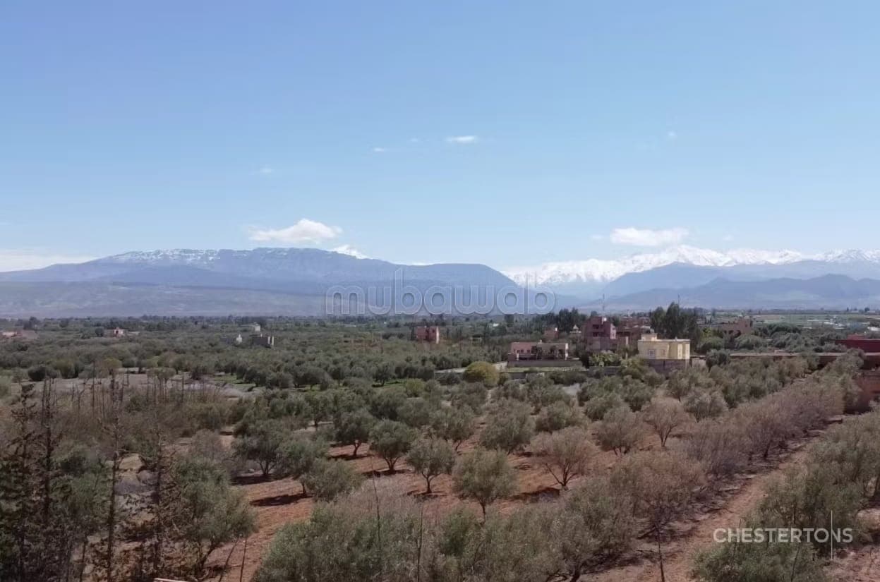 Mit Olivenbäumen bepflanztes Grundstück an der Route de l'Ourika