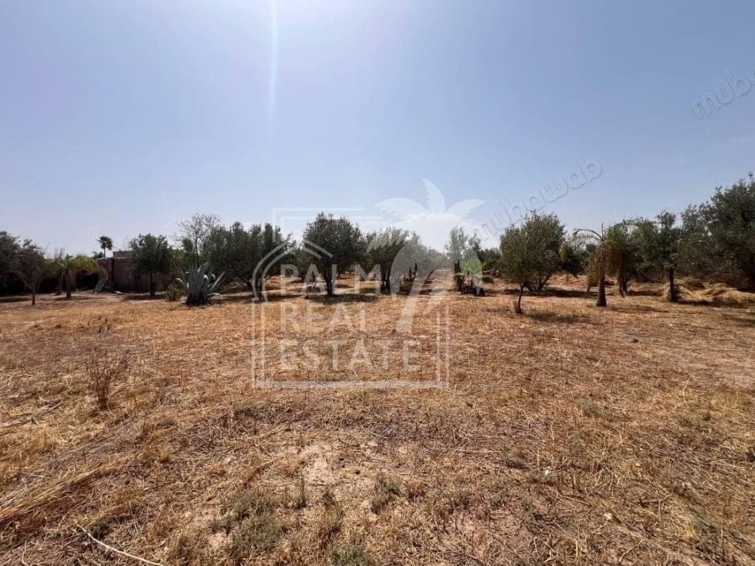 Top deal: Land for sale on the Ouarzazate road