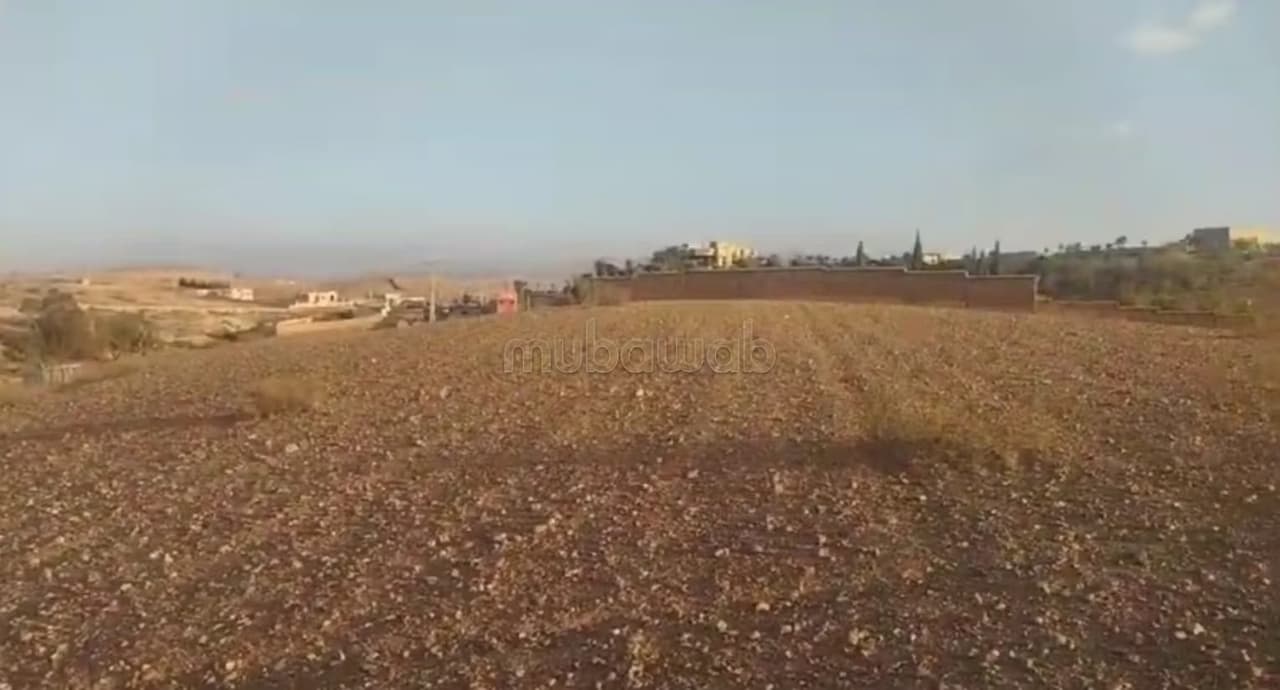 Ottimo terreno mlkiya sulla strada di Amezmiz a un buon prezzo