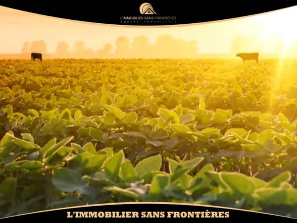 Ferme agricole titrée à Route de Fès, Puits + Bassin, Marrakech : à vendre