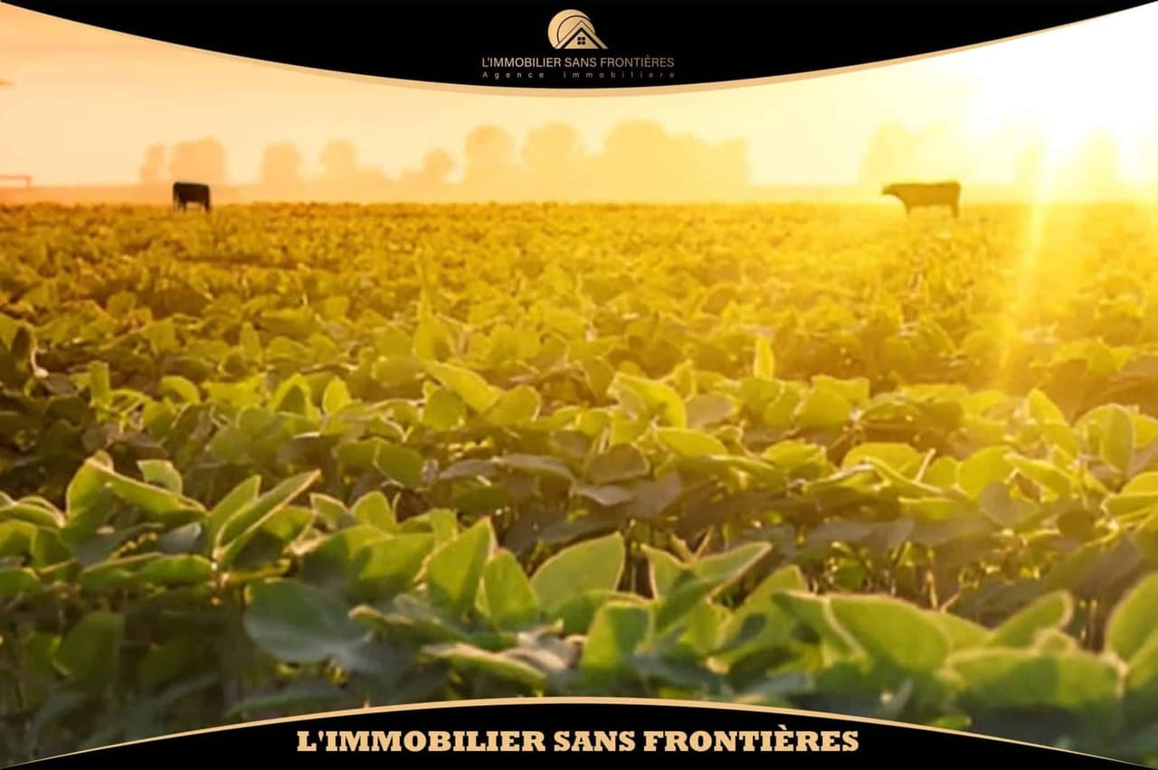 Ferme agricole titrée à Route de Fès, Puits + Bassin, Marrakech : à vendre