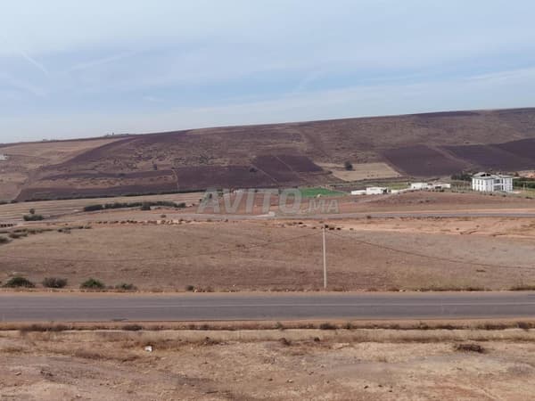 2.3 ha titré à Benslimane sur la route