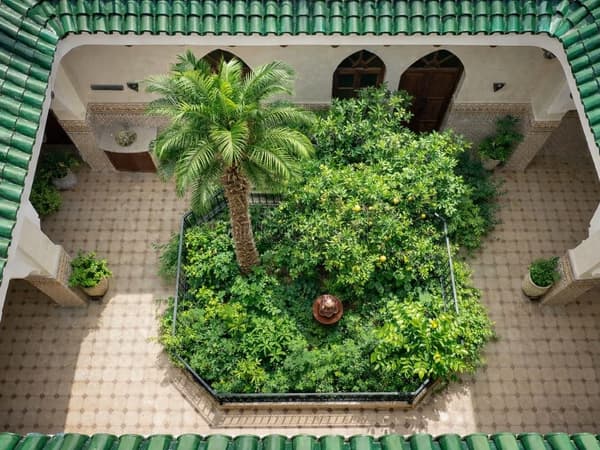 Une Oasis de calme