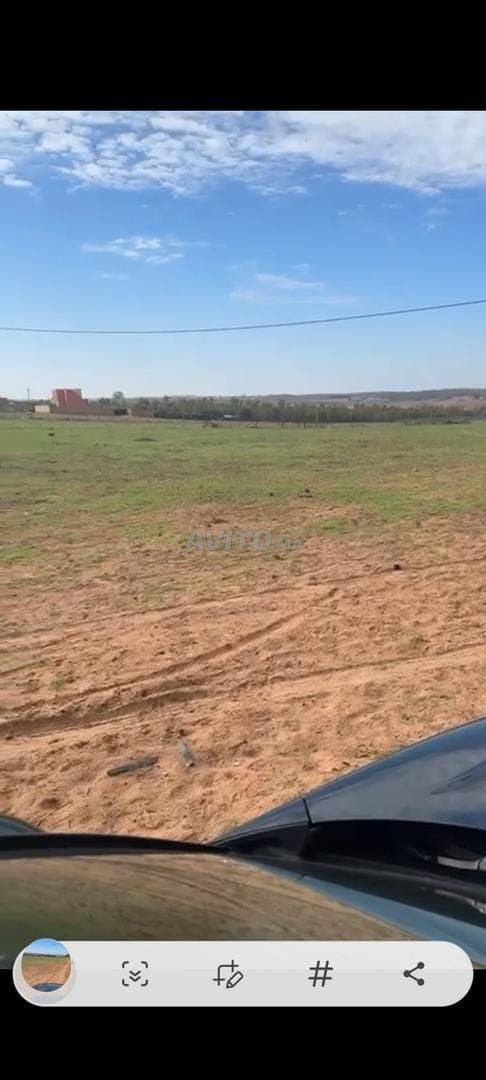 Terrain agricole 35000m2 Boukhalhal Tiflet