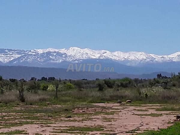 Ferme 2.2Ha Rte Ouarzazate KM25 à Louer