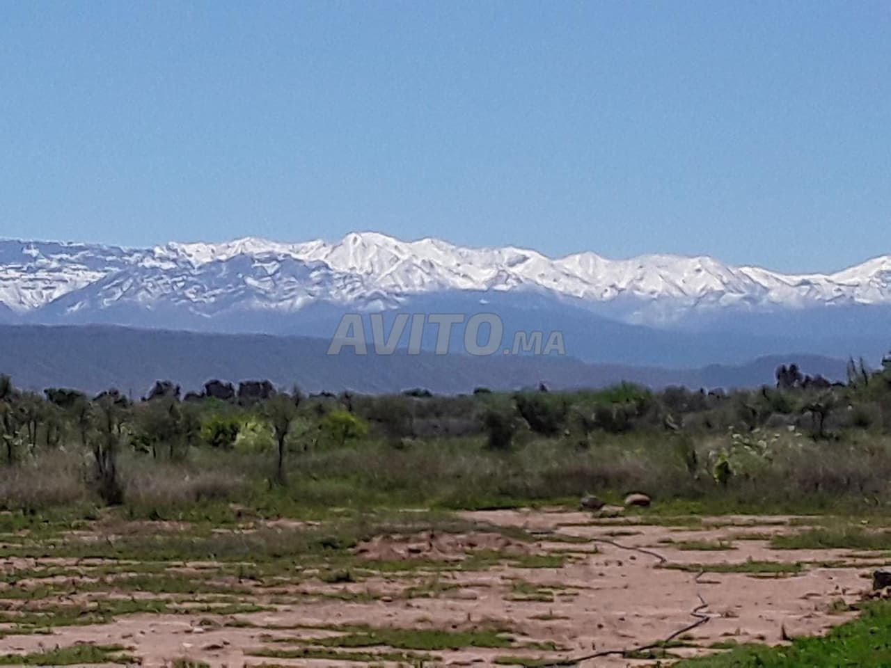 Ferme 2.2Ha Rte Ouarzazate KM25 à Louer