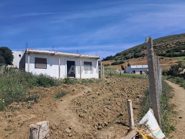 Maison et terrain à vendre