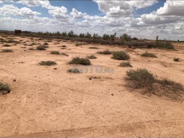 Terrein Atlas 12.958 m² – Nabij Marrakech
