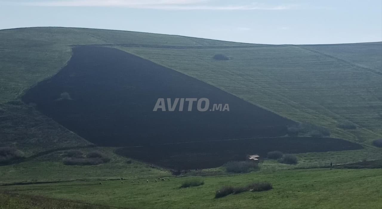 TERRAIN AGRICOLE TITRÉ À PROXIMITÉ DE KHÉMISSET