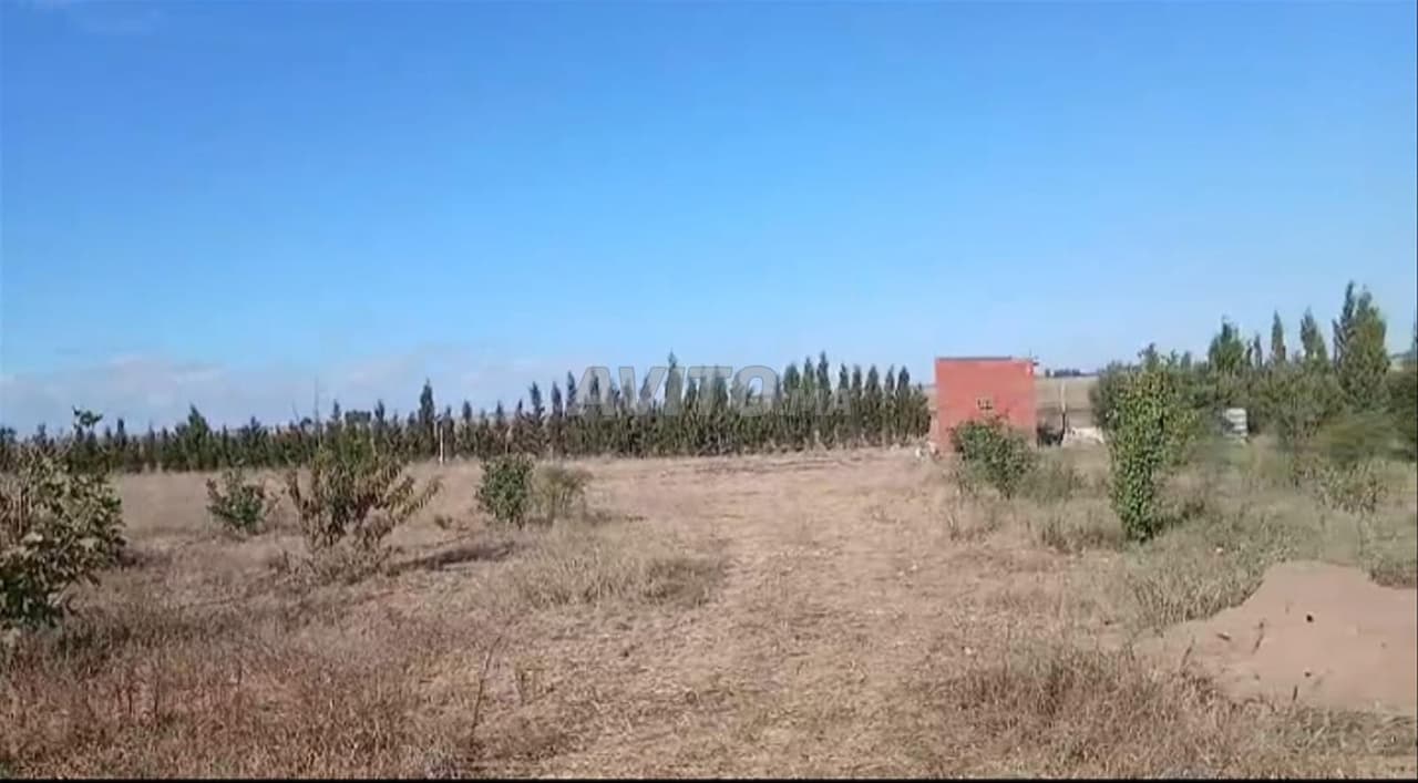 Petite ferme titrée