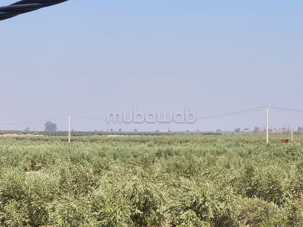 Perceel te koop aan Route de Tahanaout. Oppervlakte 110000 m²