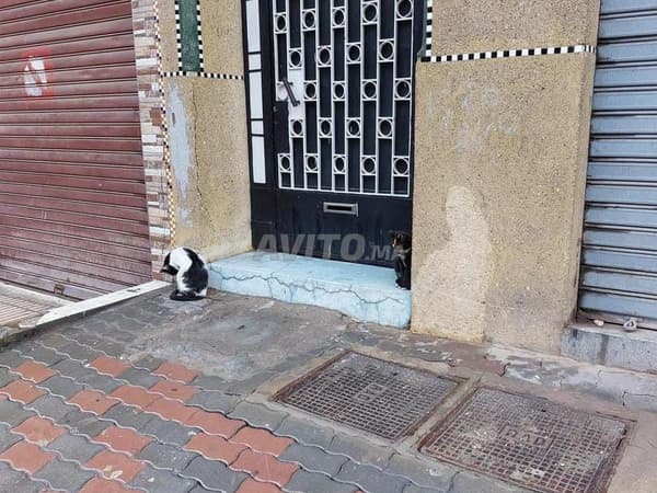 Appartement à vendre 88 m² à Casablanca
