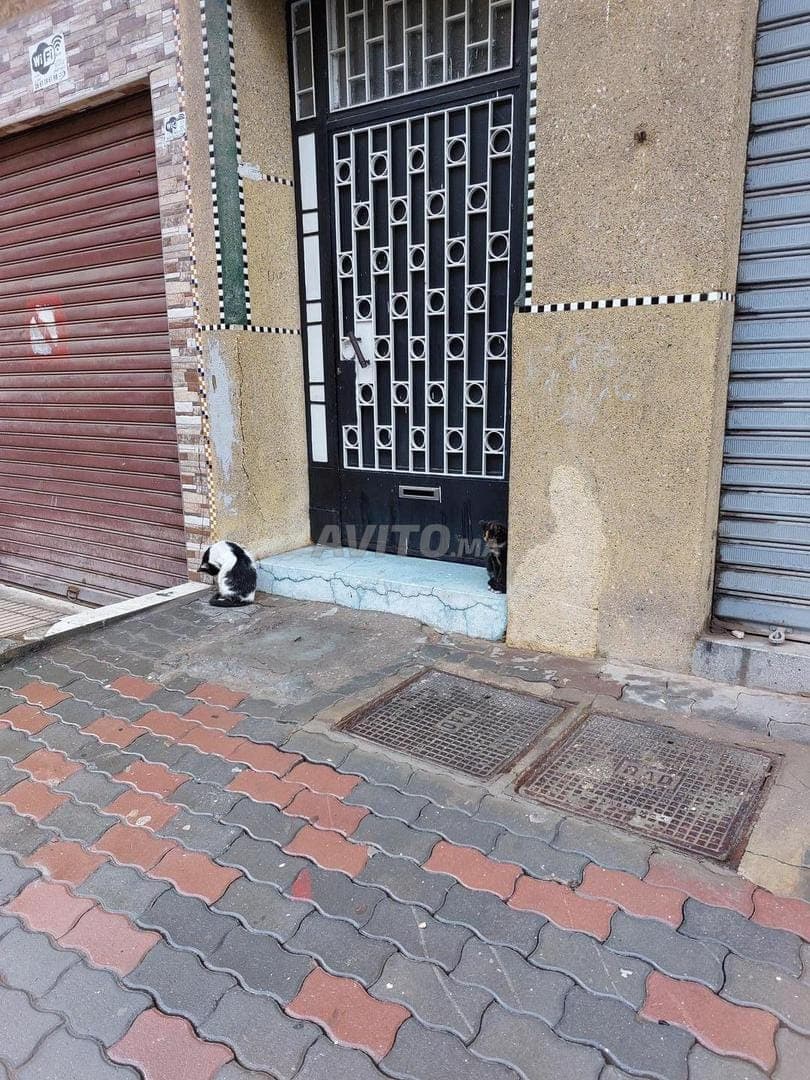 Appartement te koop 88 m² in Casablanca