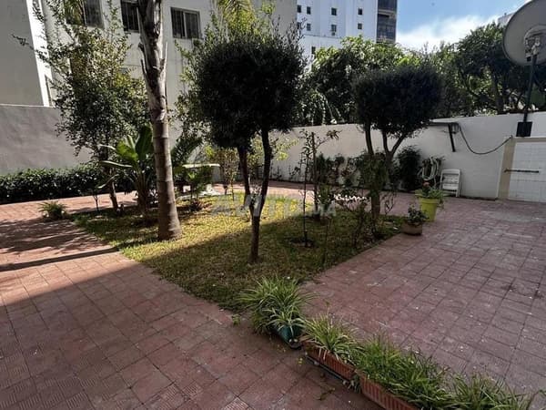 Appartement meublé à louer Palmiers