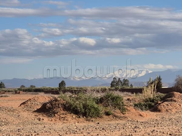 Magnifique terrain d’un hectare vue Atlas à 20 km de Marrakech, pas de piste