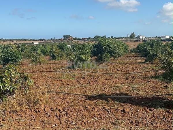 Agricultural land