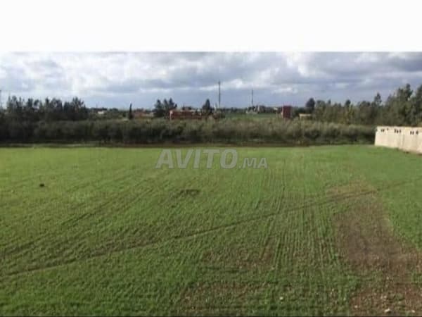 IN VENDITA – SPLENDIDA FATTORIA A BERRECHID