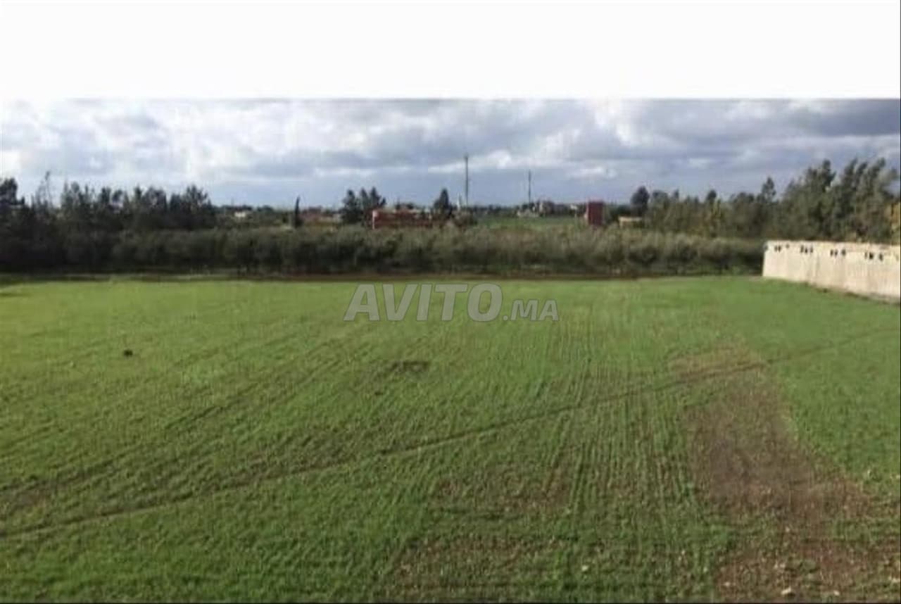 À VENDRE – SUPERBE FERME À BERRECHID