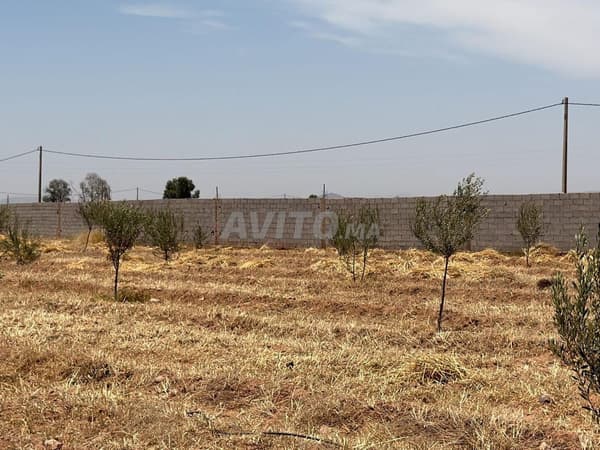 Terrain titré, 10000 m2, vue Atlas, affaire Rare