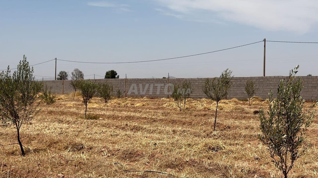 Getiteld land, 10000 m², uitzicht op Atlas, zeldzame kans