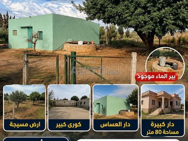 Uitgeruste hectare te koop in Meknes El Hadj Kaddour. Land met titel en geregistreerd.