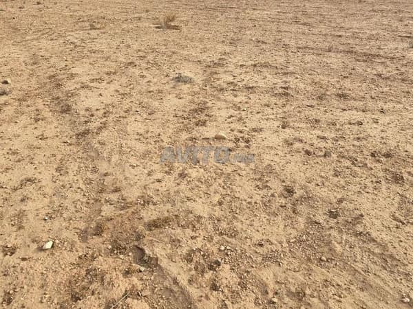Terreno agrícola titulado, 2 hectáreas, alrededores de Marrakech