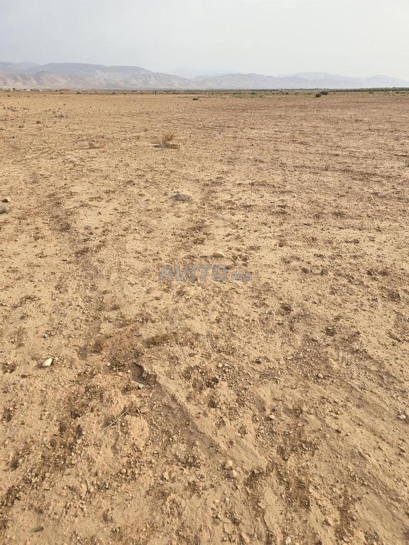 Terreno agrícola titulado, 2 hectáreas, alrededores de Marrakech