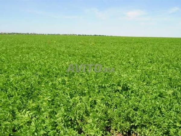Terrain résidentiel et agricole à vendre