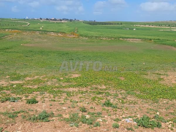 أرض محفظة على طريق سيدي عبد الرحمن في اتجاه جمعة سحيم