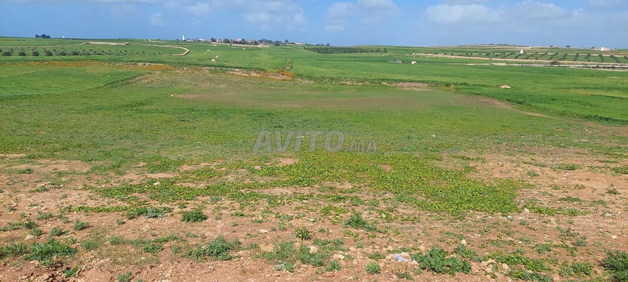 أرض محفظة على طريق سيدي عبد الرحمن في اتجاه جمعة سحيم