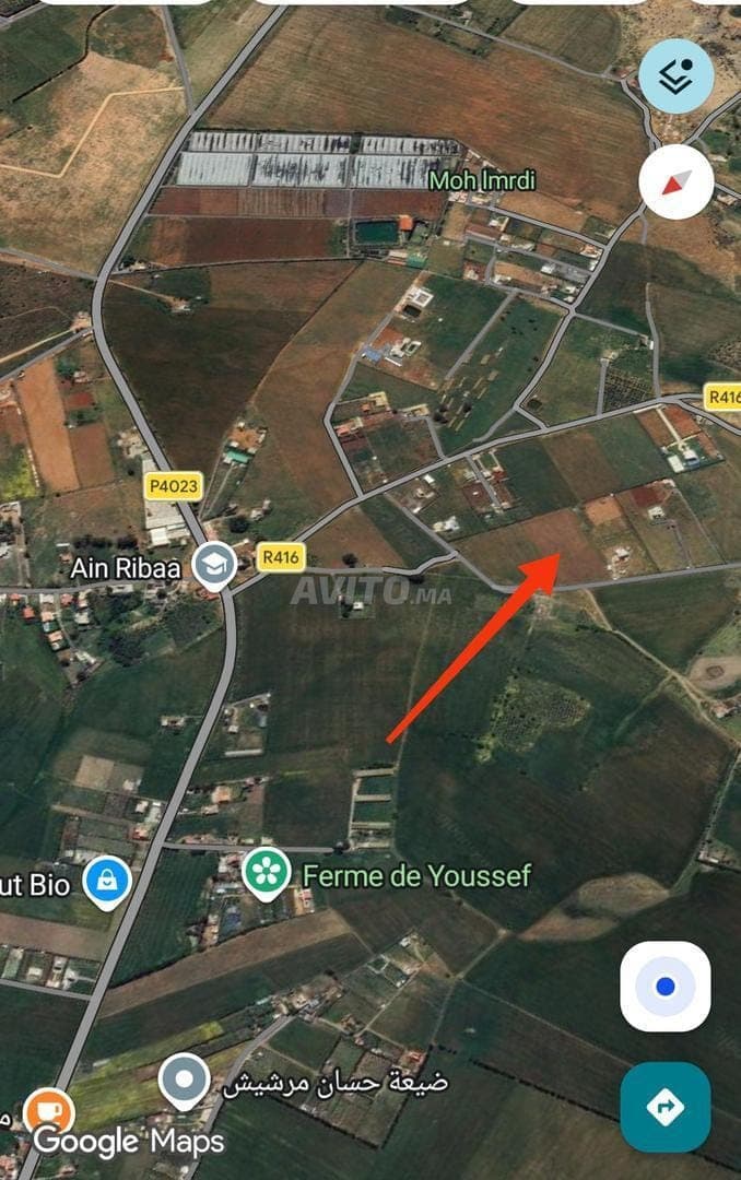 Landbouwgrond te koop in Ribaa Sidi Yahya