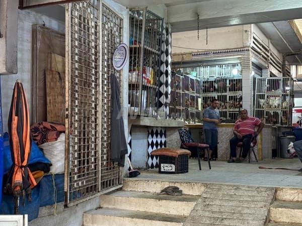 Rue Al Khalil Ain Chk