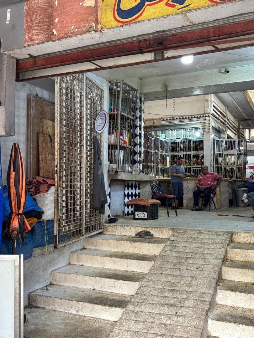 Rue Al Khalil Ain Chk