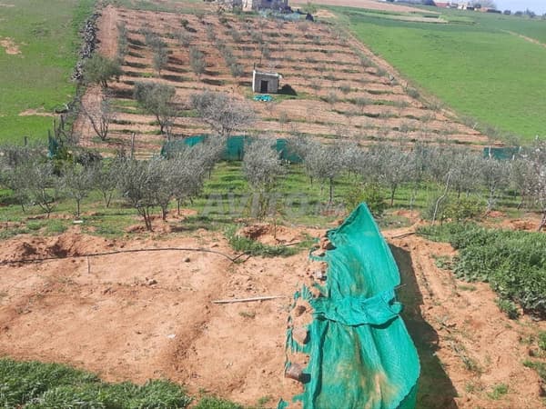 Terreno agricolo