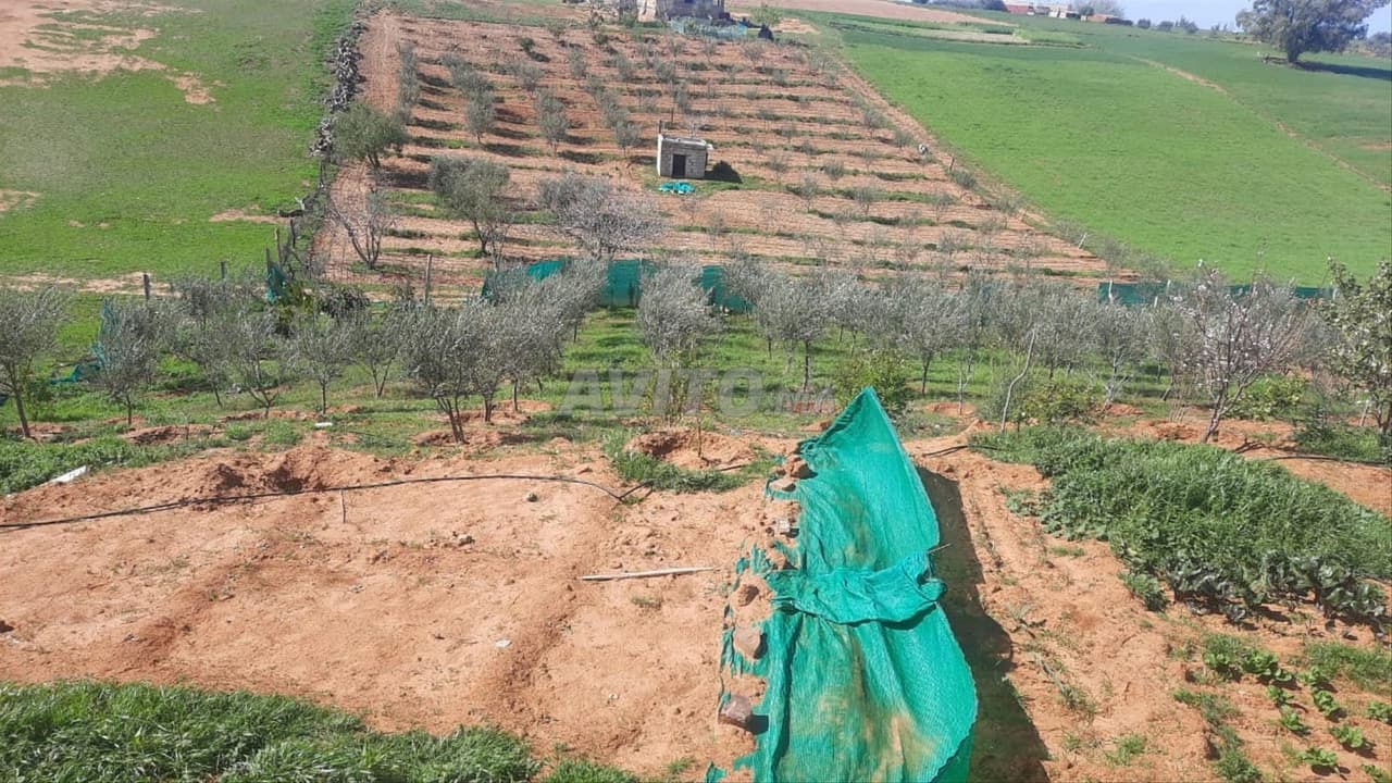 Terreno agricolo