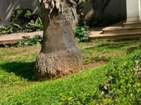 فيلا رائعة في OLM السويسي