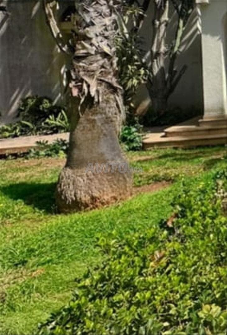 superbe villa à OLM souissi