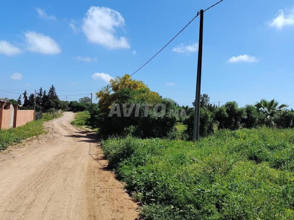 2,1 ha – 8 km de Benslimane – Calme & Sérénité